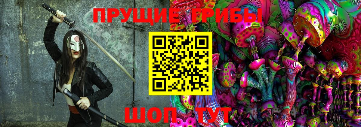 Вологда  Галлюциногенные грибы Psilocybe  Вход с VPN 