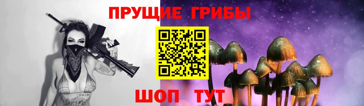 Галлюциногенные грибы Psilocybe Вологда